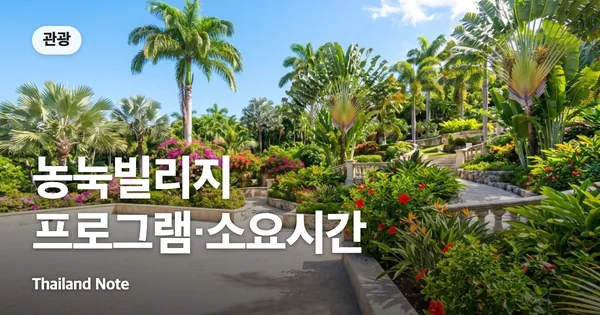 농눅빌리지 프로그램·소요시간