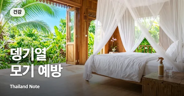 뎅기열 모기 예방